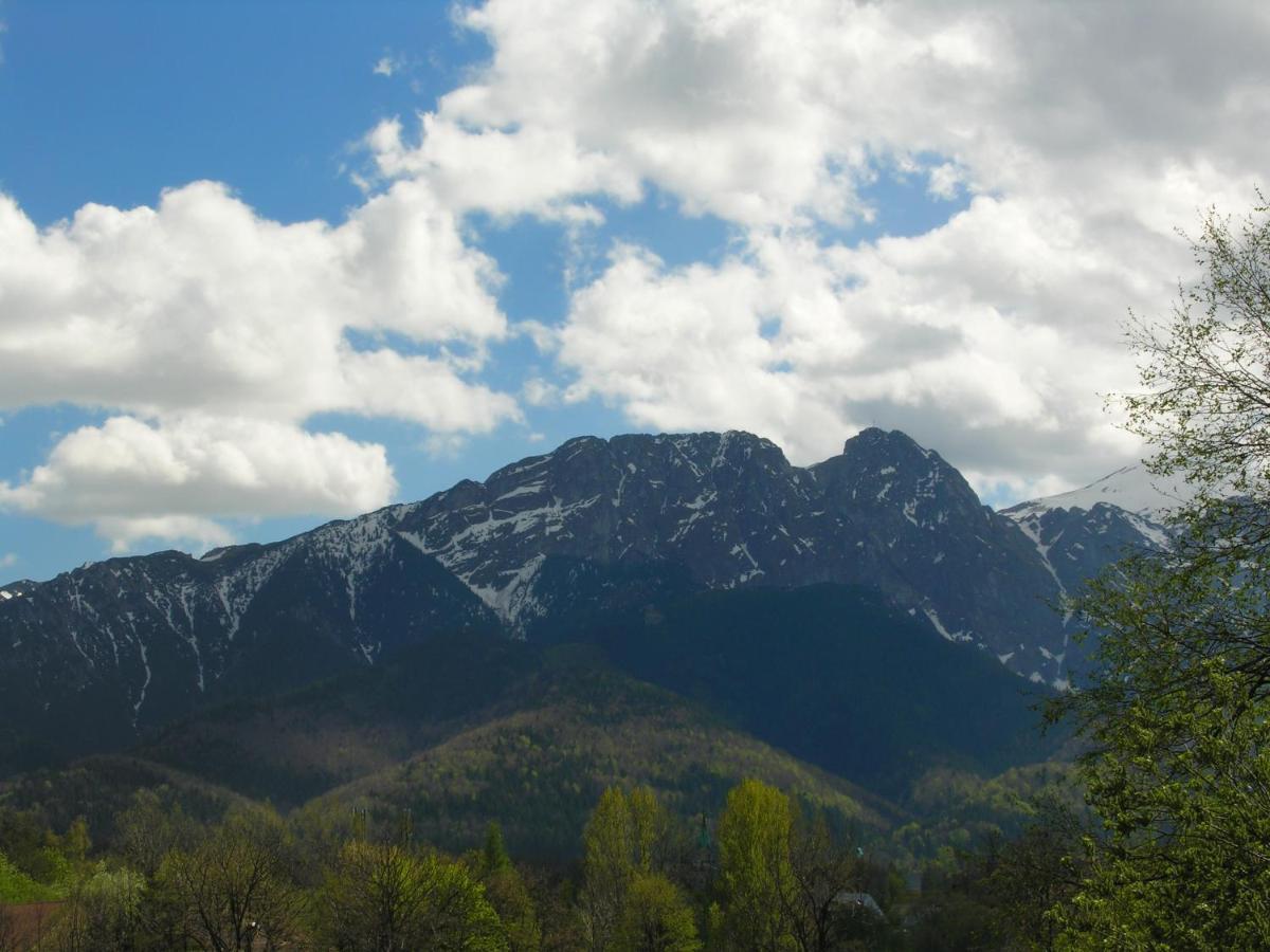 Domki Mroz Zakopane Eksteriør bilde