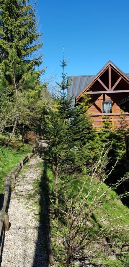 Domki Mroz Zakopane Eksteriør bilde